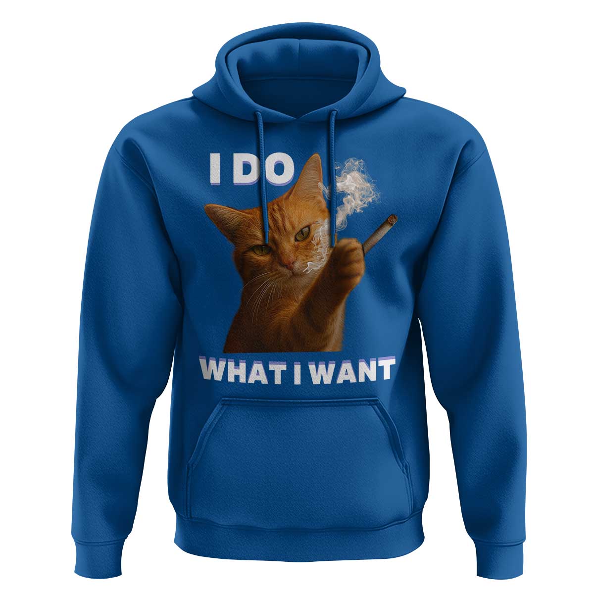 Funny Smoking Cat Hoodie I Do What I Want Sarcastic Cats Meme - Wonder Print Shop