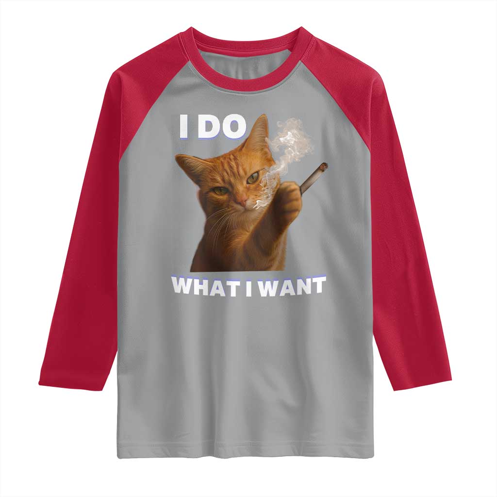 Funny Smoking Cat Raglan Shirt I Do What I Want Sarcastic Cats Meme - Wonder Print Shop