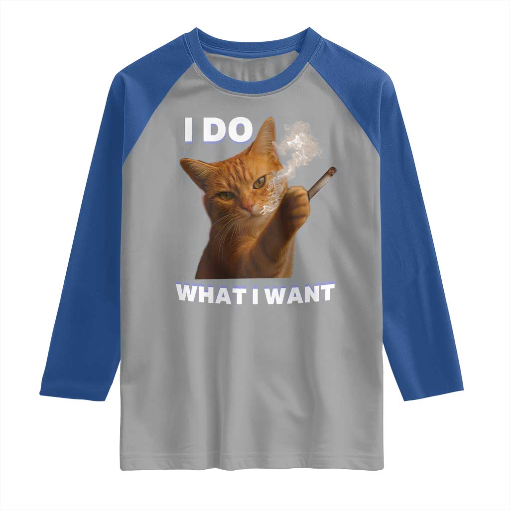 Funny Smoking Cat Raglan Shirt I Do What I Want Sarcastic Cats Meme - Wonder Print Shop