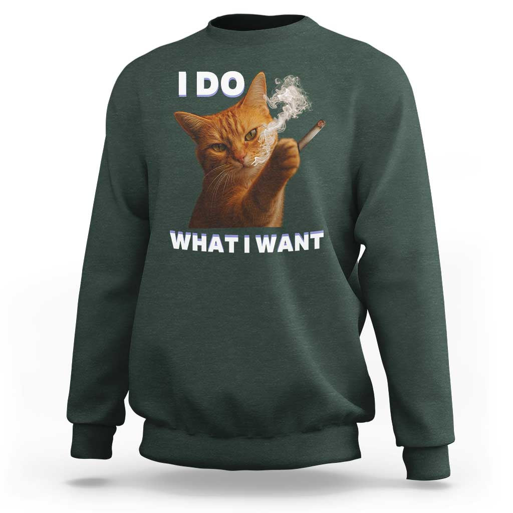 Funny Smoking Cat Sweatshirt I Do What I Want Sarcastic Cats Meme - Wonder Print Shop