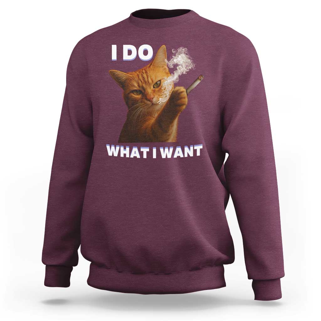 Funny Smoking Cat Sweatshirt I Do What I Want Sarcastic Cats Meme - Wonder Print Shop