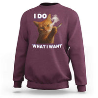 Funny Smoking Cat Sweatshirt I Do What I Want Sarcastic Cats Meme - Wonder Print Shop