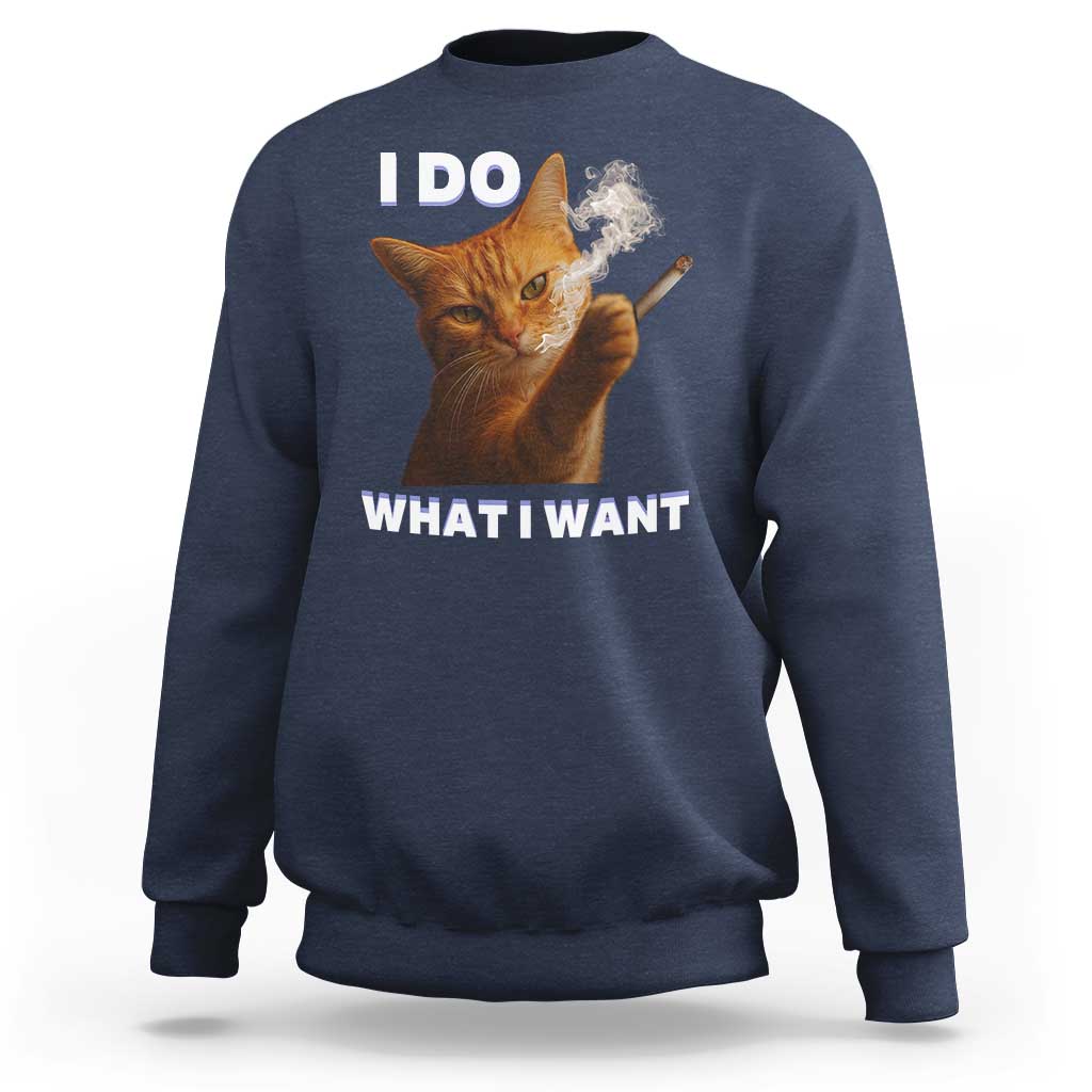 Funny Smoking Cat Sweatshirt I Do What I Want Sarcastic Cats Meme - Wonder Print Shop