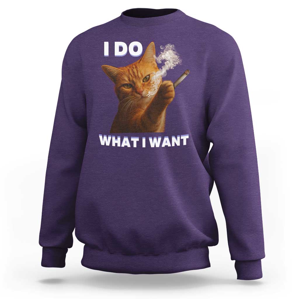 Funny Smoking Cat Sweatshirt I Do What I Want Sarcastic Cats Meme - Wonder Print Shop