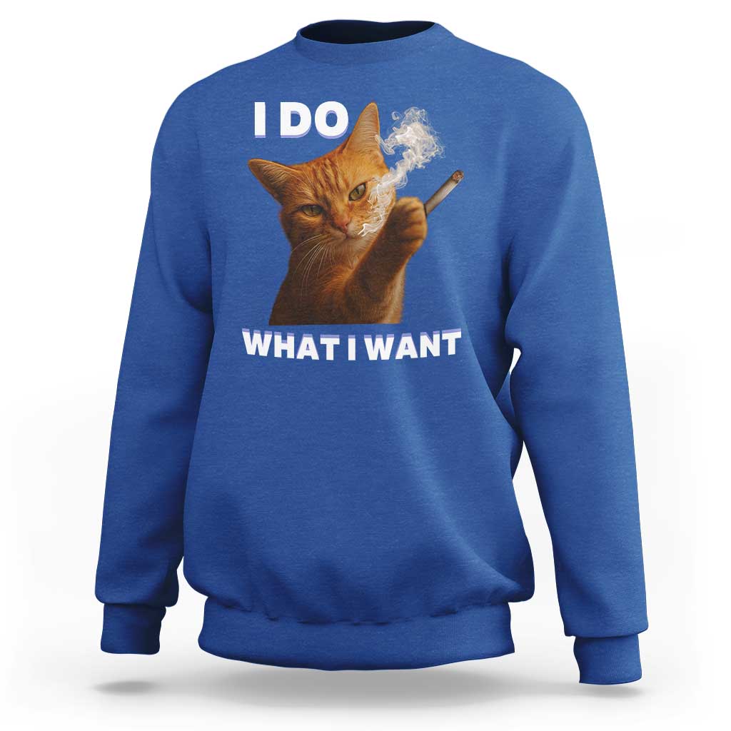 Funny Smoking Cat Sweatshirt I Do What I Want Sarcastic Cats Meme - Wonder Print Shop