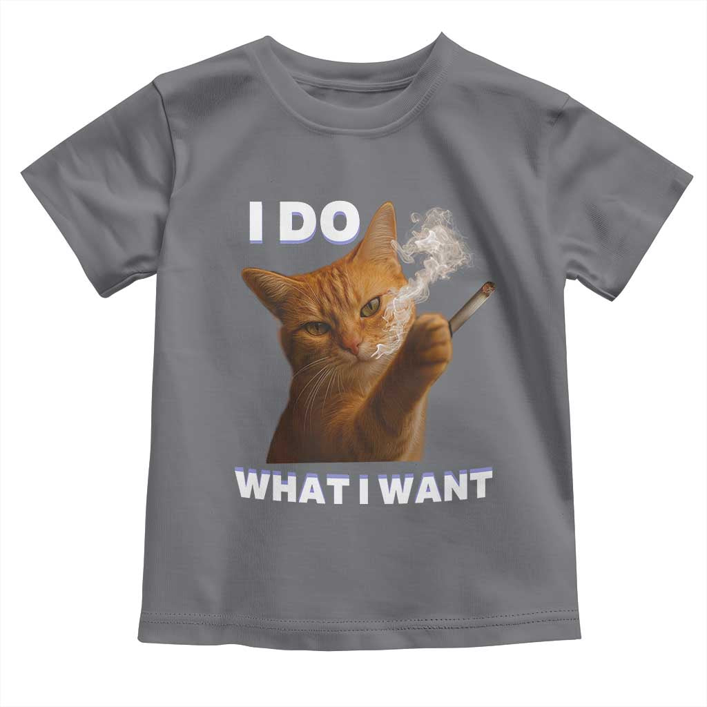 Funny Smoking Cat Toddler T Shirt I Do What I Want Sarcastic Cats Meme - Wonder Print Shop