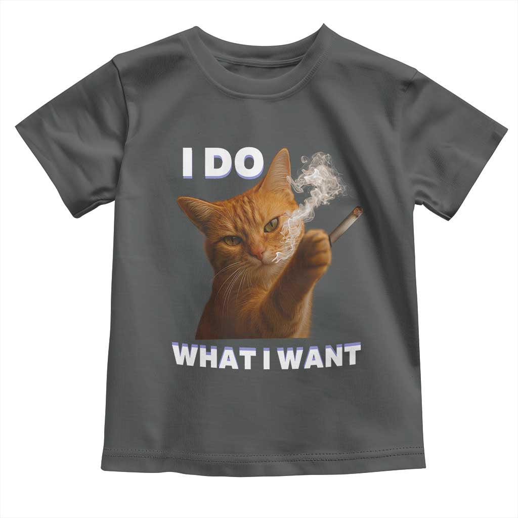 Funny Smoking Cat Toddler T Shirt I Do What I Want Sarcastic Cats Meme - Wonder Print Shop