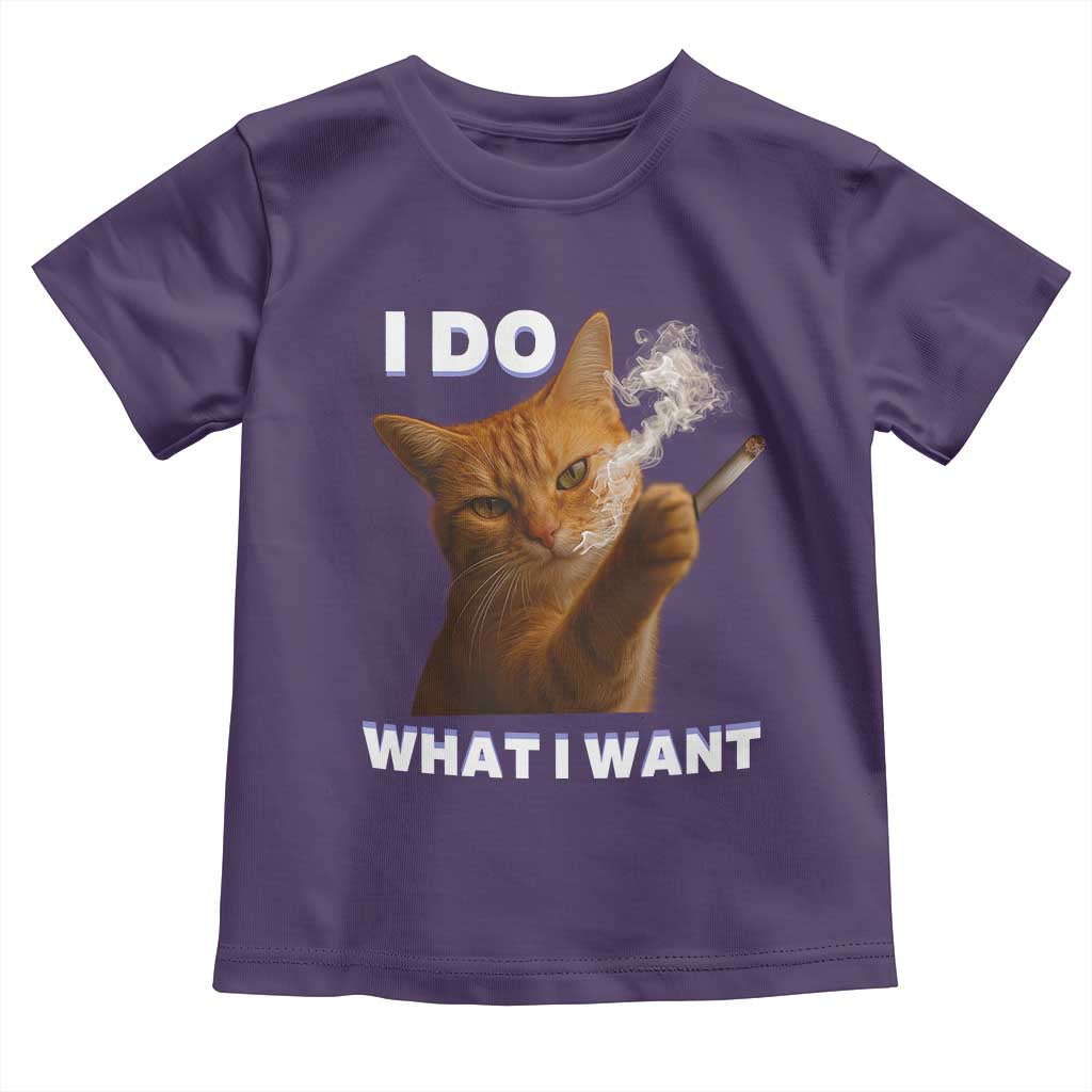 Funny Smoking Cat Toddler T Shirt I Do What I Want Sarcastic Cats Meme - Wonder Print Shop