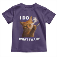 Funny Smoking Cat Toddler T Shirt I Do What I Want Sarcastic Cats Meme - Wonder Print Shop