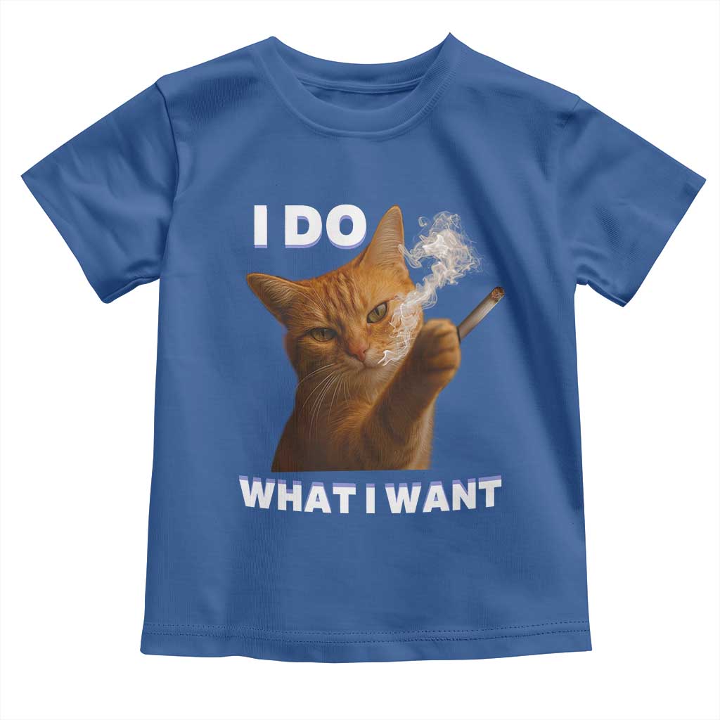 Funny Smoking Cat Toddler T Shirt I Do What I Want Sarcastic Cats Meme - Wonder Print Shop