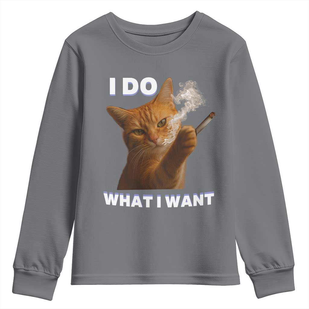 Funny Smoking Cat Youth Sweatshirt I Do What I Want Sarcastic Cats Meme - Wonder Print Shop