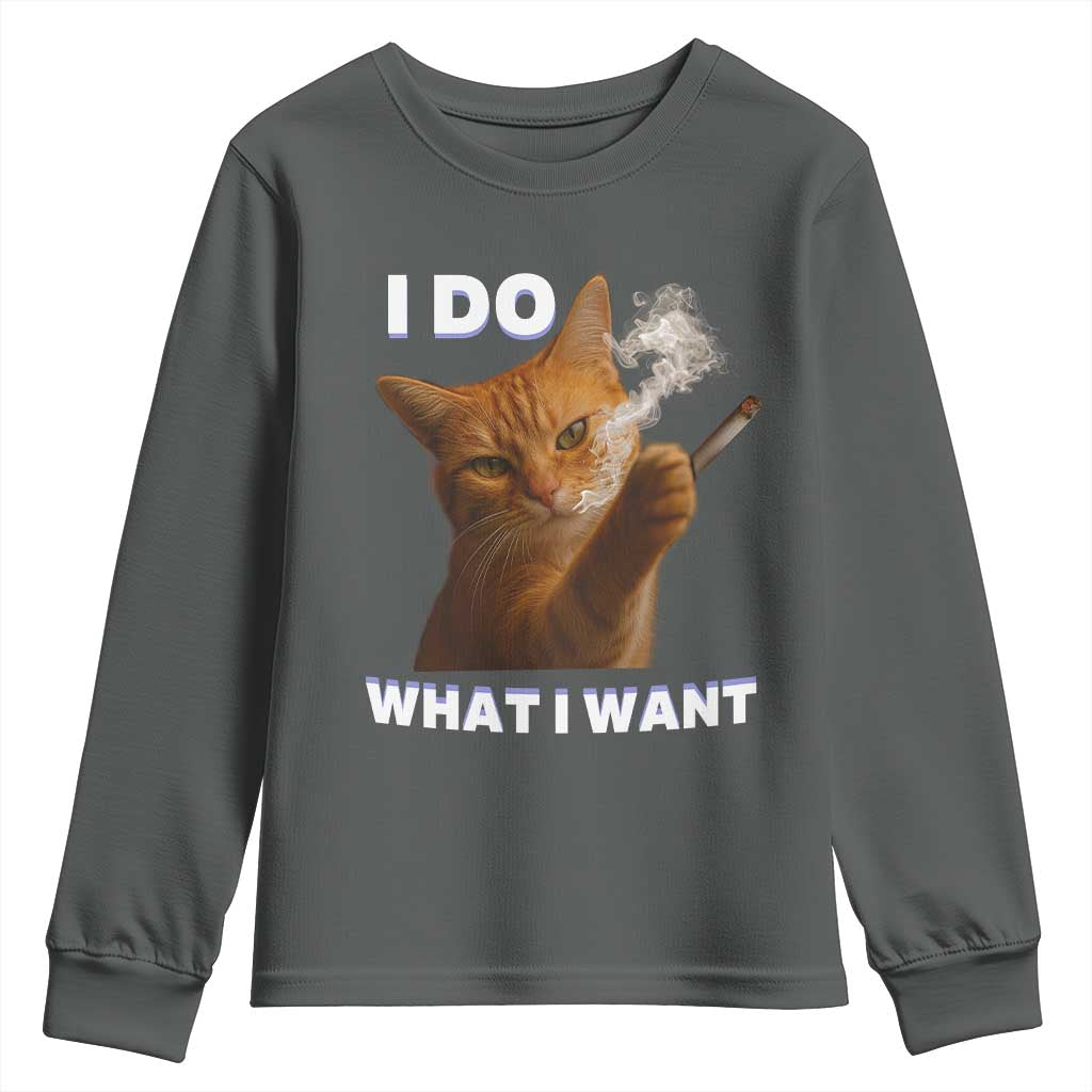 Funny Smoking Cat Youth Sweatshirt I Do What I Want Sarcastic Cats Meme - Wonder Print Shop