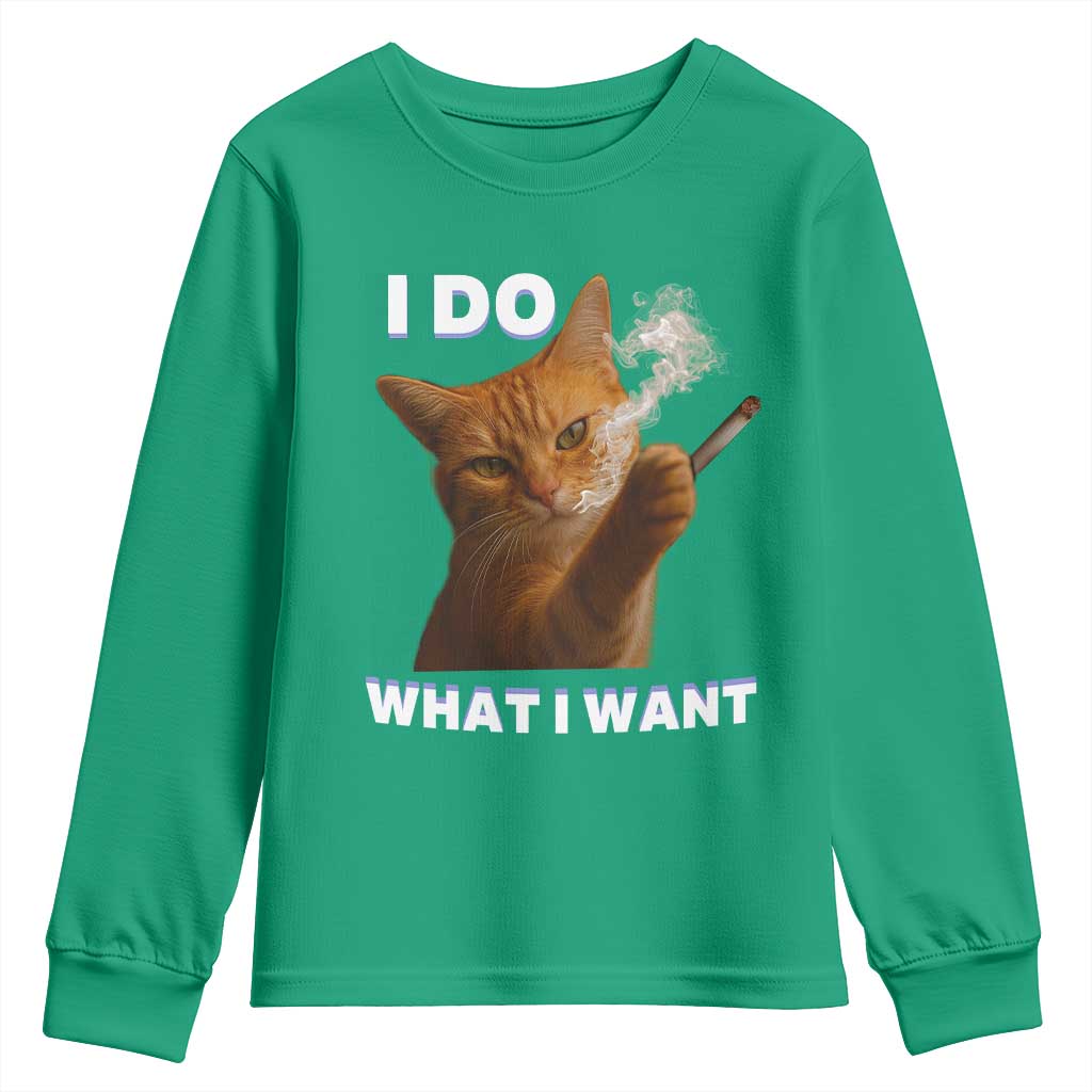 Funny Smoking Cat Youth Sweatshirt I Do What I Want Sarcastic Cats Meme - Wonder Print Shop