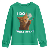 Funny Smoking Cat Youth Sweatshirt I Do What I Want Sarcastic Cats Meme - Wonder Print Shop