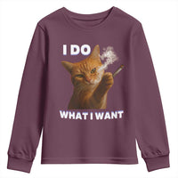 Funny Smoking Cat Youth Sweatshirt I Do What I Want Sarcastic Cats Meme - Wonder Print Shop