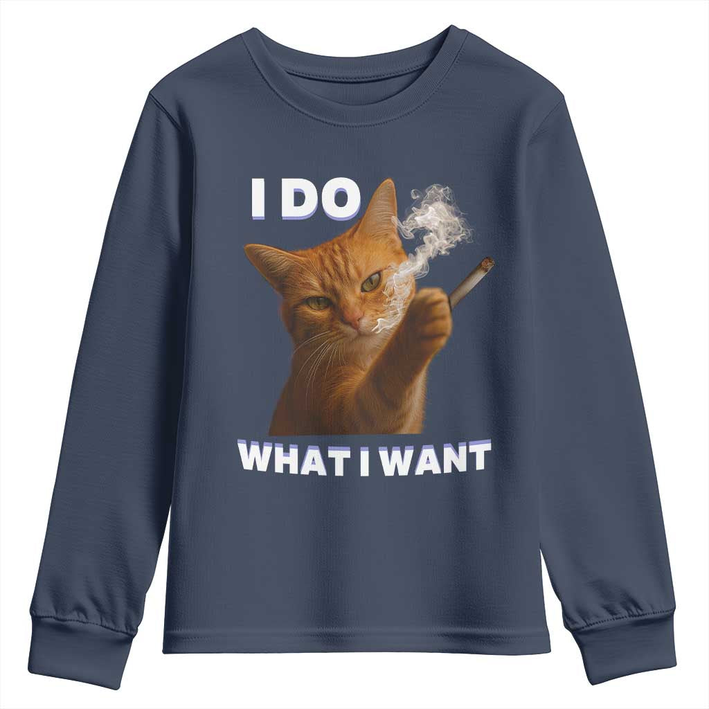 Funny Smoking Cat Youth Sweatshirt I Do What I Want Sarcastic Cats Meme - Wonder Print Shop