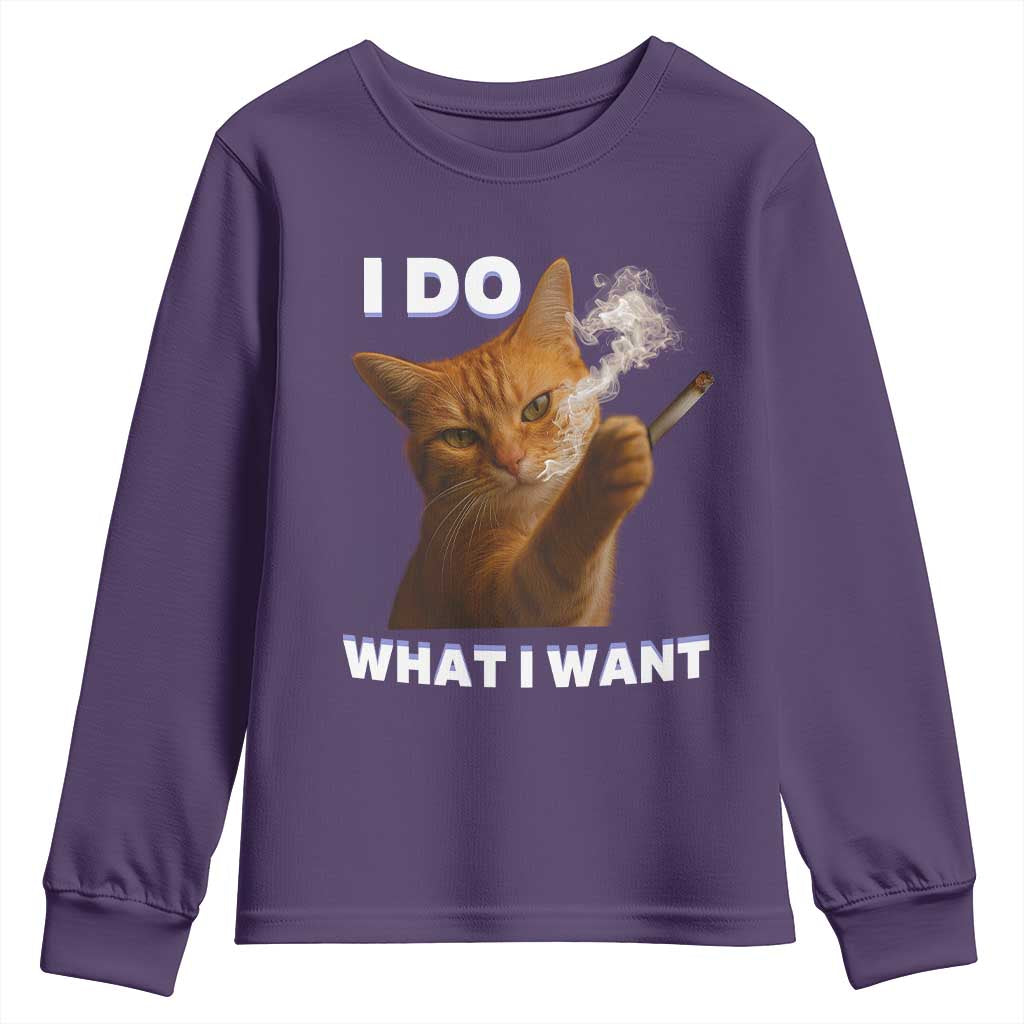 Funny Smoking Cat Youth Sweatshirt I Do What I Want Sarcastic Cats Meme - Wonder Print Shop