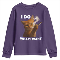 Funny Smoking Cat Youth Sweatshirt I Do What I Want Sarcastic Cats Meme - Wonder Print Shop