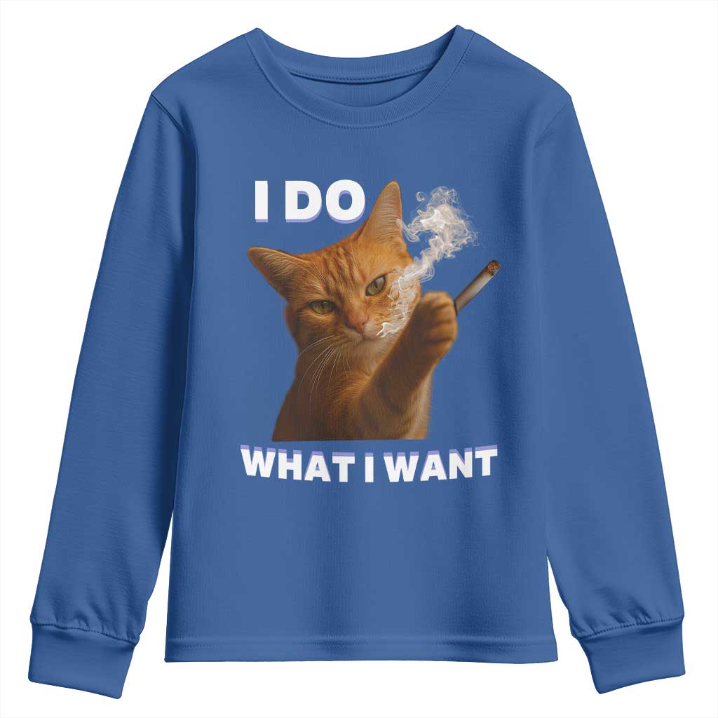 Funny Smoking Cat Youth Sweatshirt I Do What I Want Sarcastic Cats Meme - Wonder Print Shop