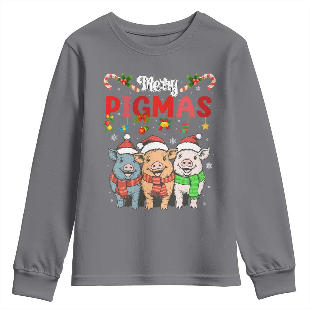 Funny Merry Pigmas Youth Sweatshirt Christmas Pigs Farm Gift - Wonder Print Shop
