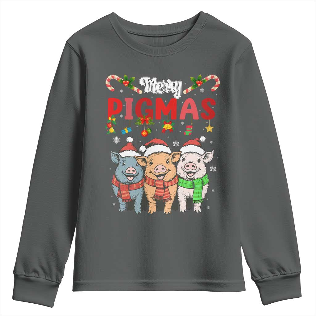 Funny Merry Pigmas Youth Sweatshirt Christmas Pigs Farm Gift - Wonder Print Shop