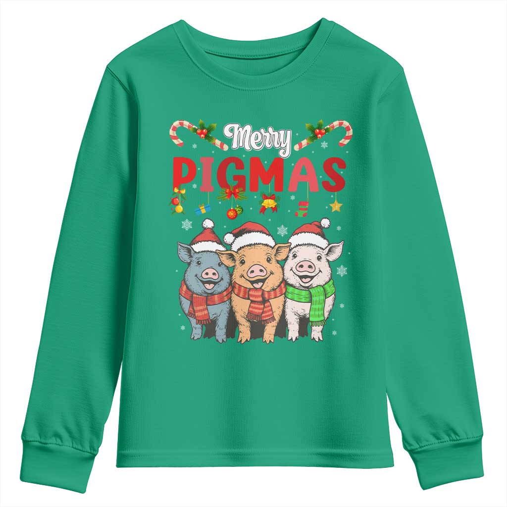 Funny Merry Pigmas Youth Sweatshirt Christmas Pigs Farm Gift - Wonder Print Shop