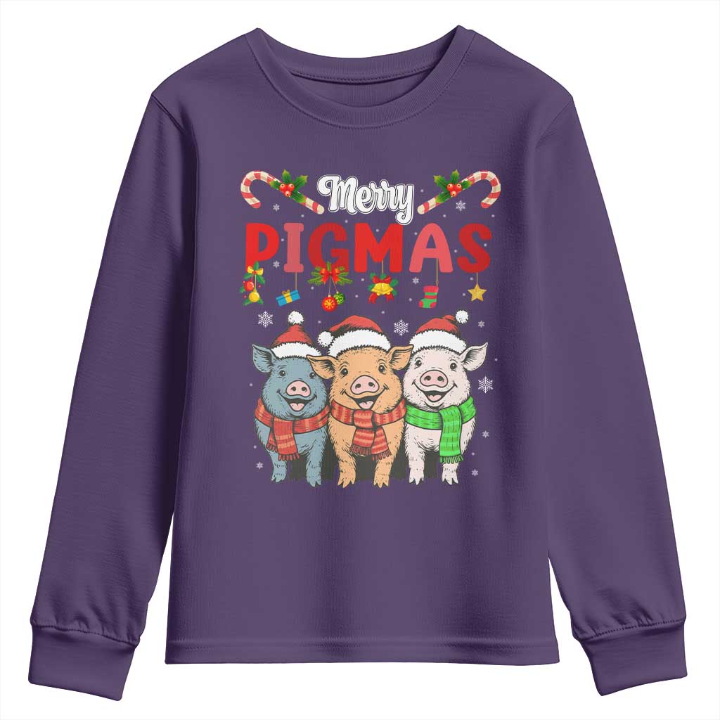 Funny Merry Pigmas Youth Sweatshirt Christmas Pigs Farm Gift - Wonder Print Shop