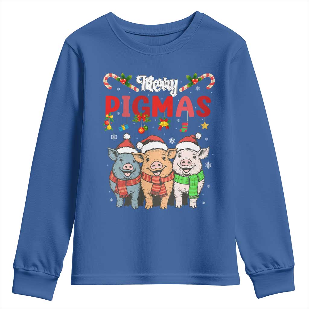Funny Merry Pigmas Youth Sweatshirt Christmas Pigs Farm Gift - Wonder Print Shop