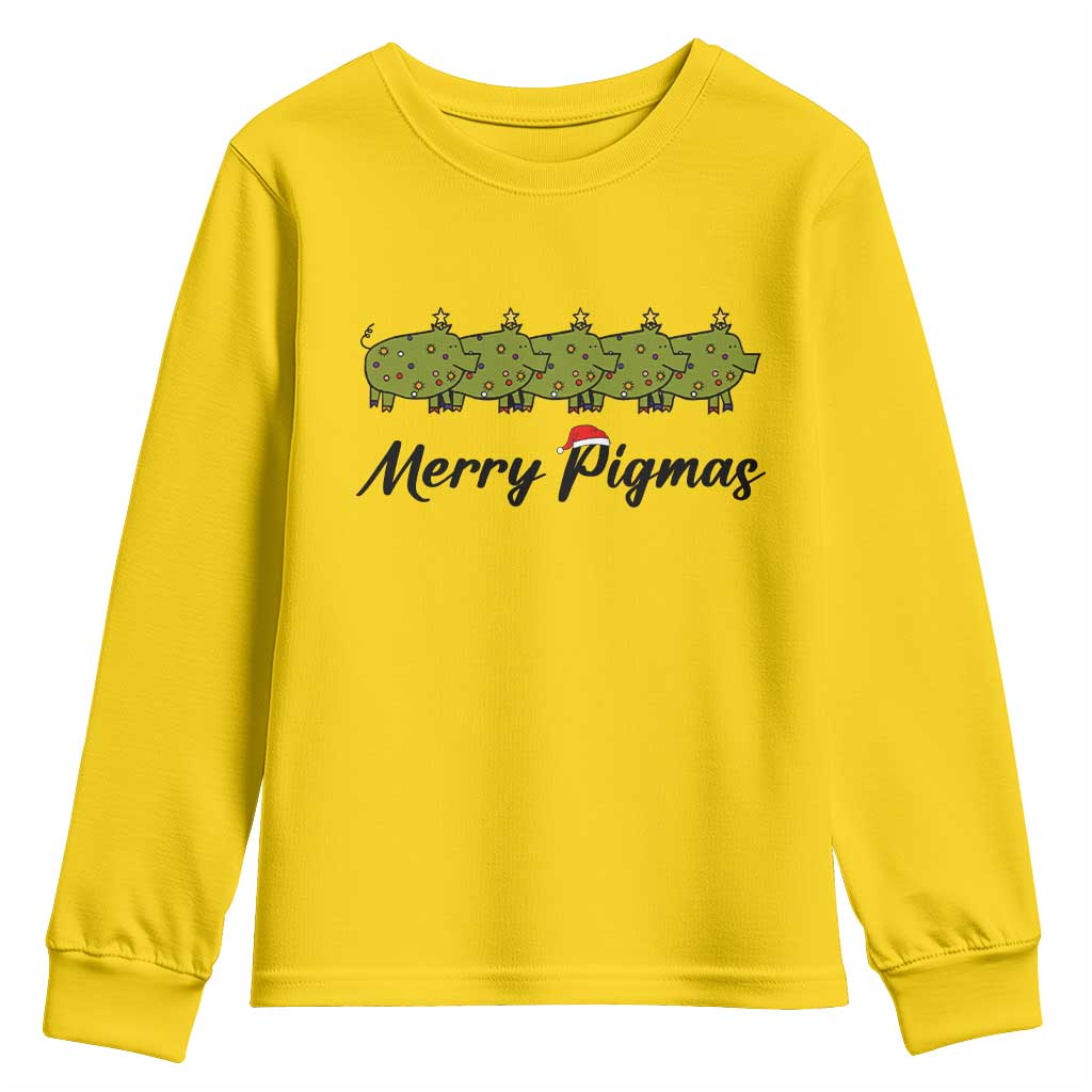 Merry Pigmas Youth Sweatshirt Holiday Gift For Pig Lovers - Wonder Print Shop