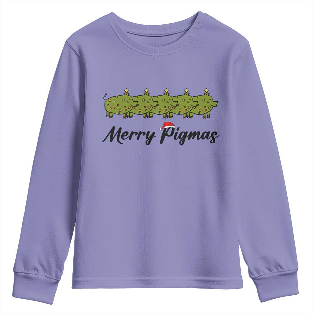 Merry Pigmas Youth Sweatshirt Holiday Gift For Pig Lovers - Wonder Print Shop
