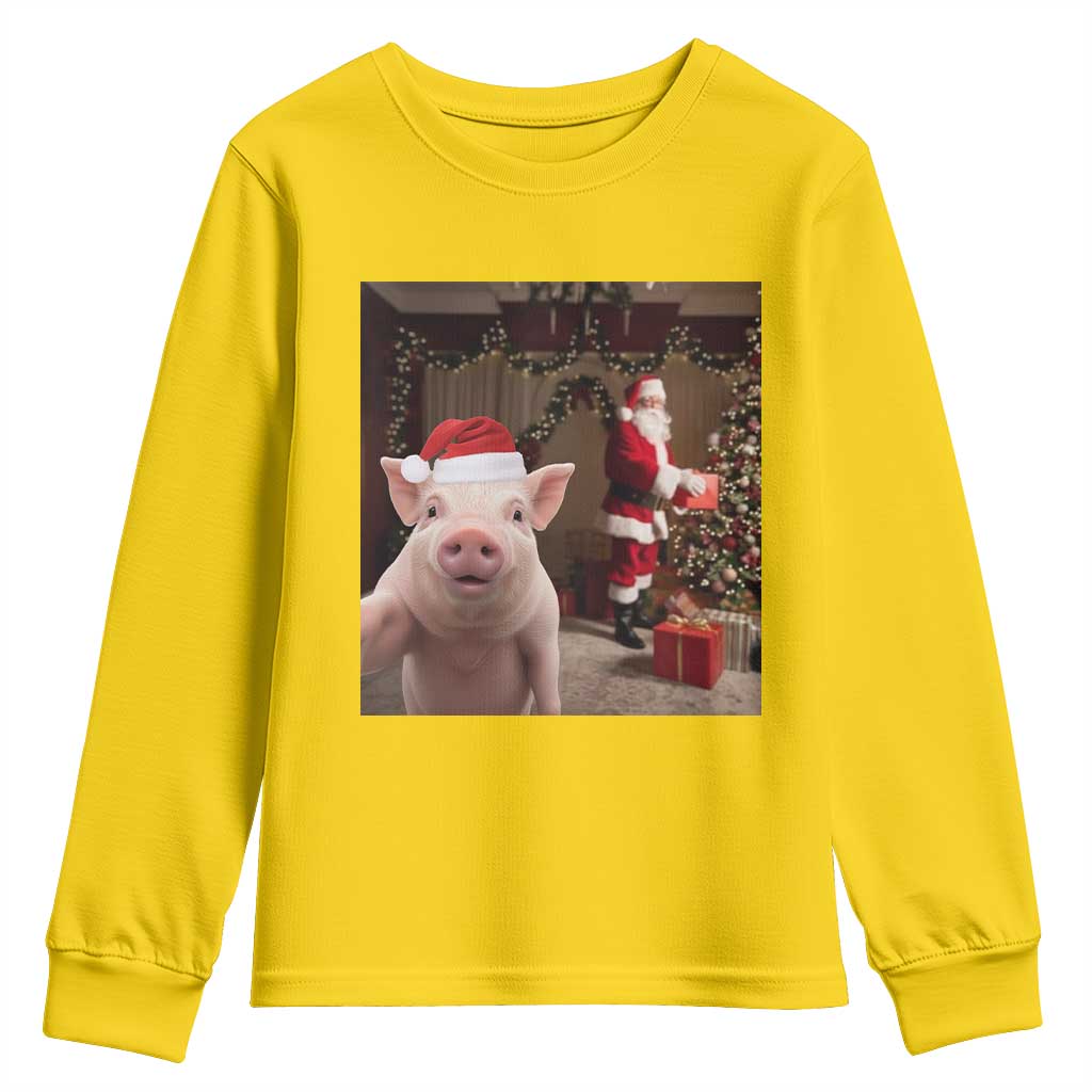 Funny Christmas Pig Selfie With Santa Gift Youth Sweatshirt - Wonder Print Shop