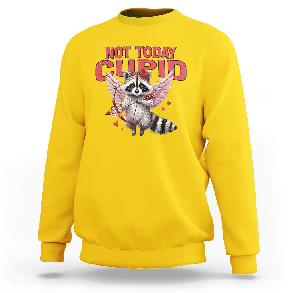 Funny Raccoon Cupid Anti Valentine Sweatshirt Not Today Cupid