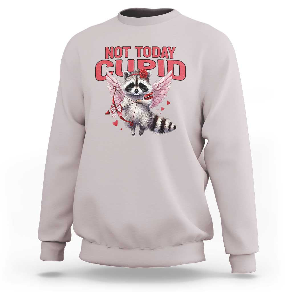Funny Raccoon Cupid Anti Valentine Sweatshirt Not Today Cupid