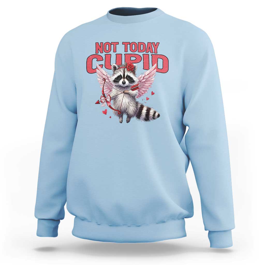 Funny Raccoon Cupid Anti Valentine Sweatshirt Not Today Cupid