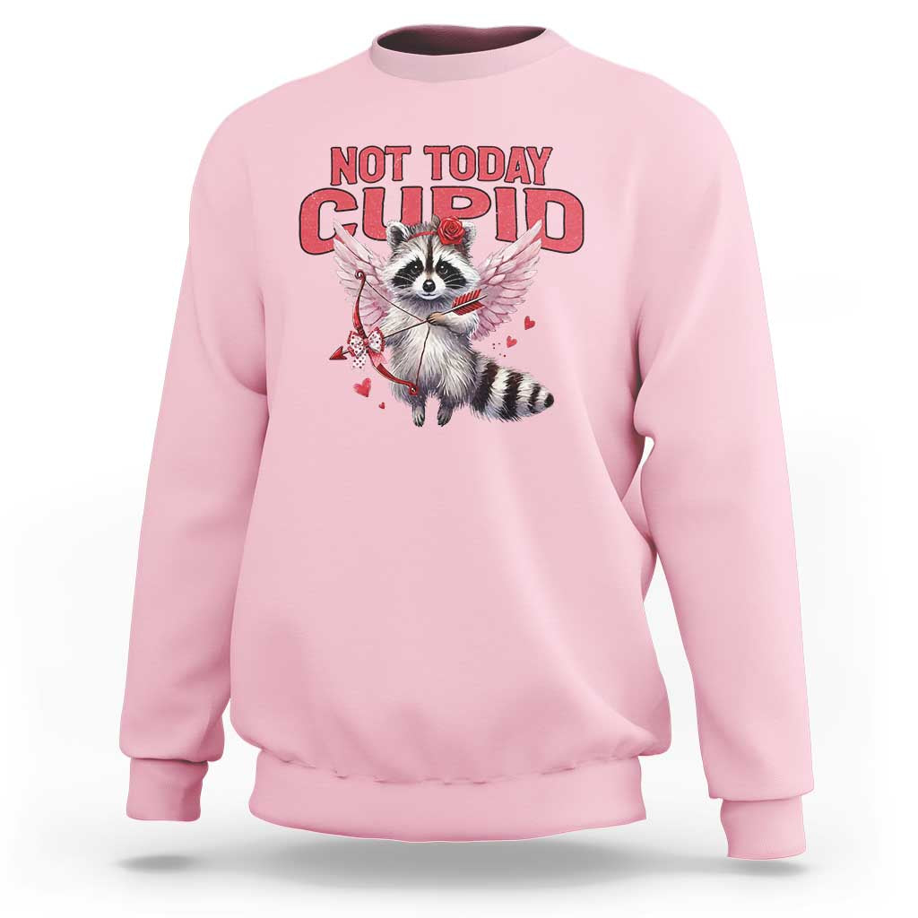 Funny Raccoon Cupid Anti Valentine Sweatshirt Not Today Cupid