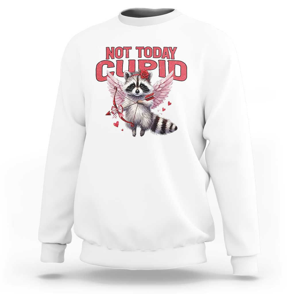 Funny Raccoon Cupid Anti Valentine Sweatshirt Not Today Cupid