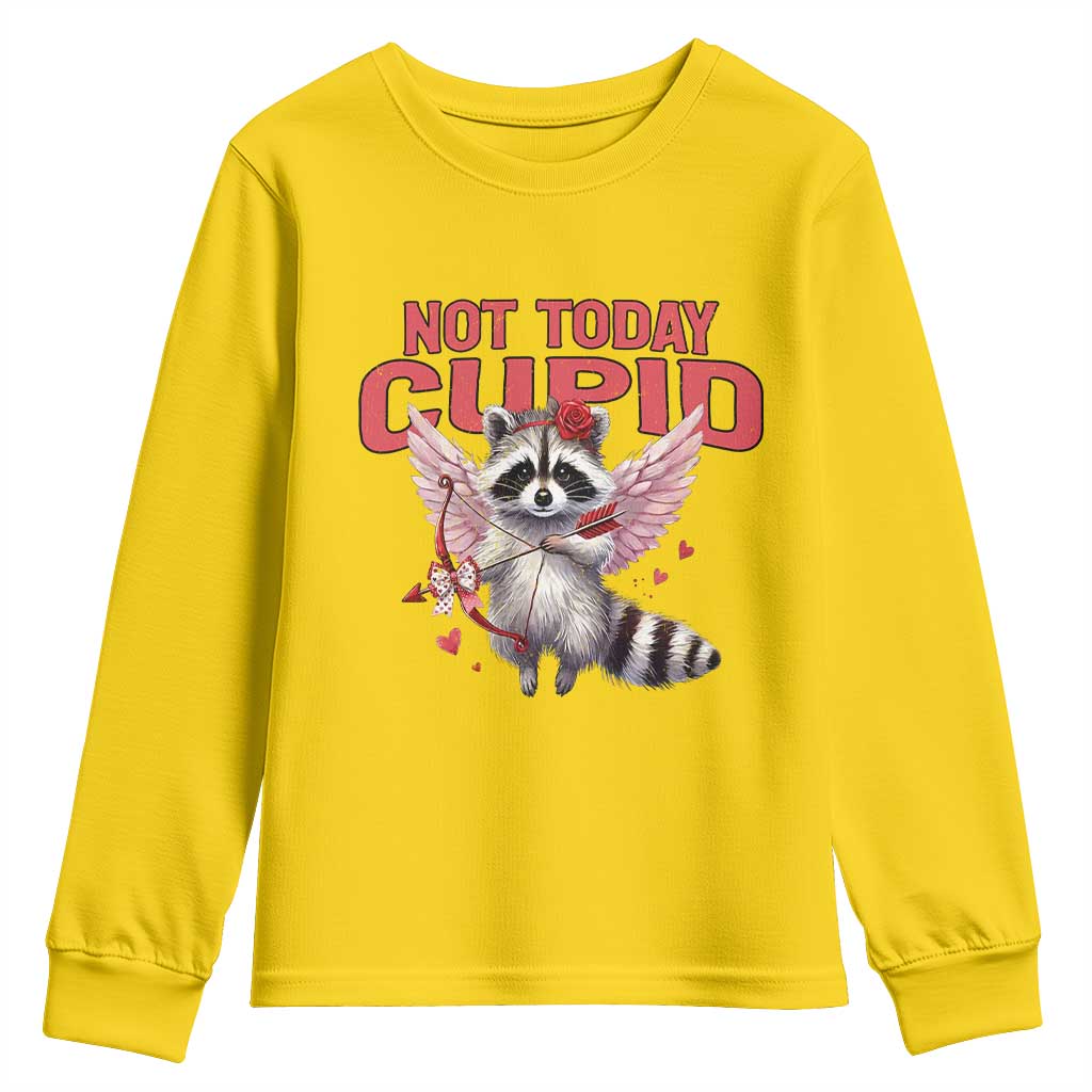 Funny Raccoon Cupid Anti Valentine Youth Sweatshirt Not Today Cupid