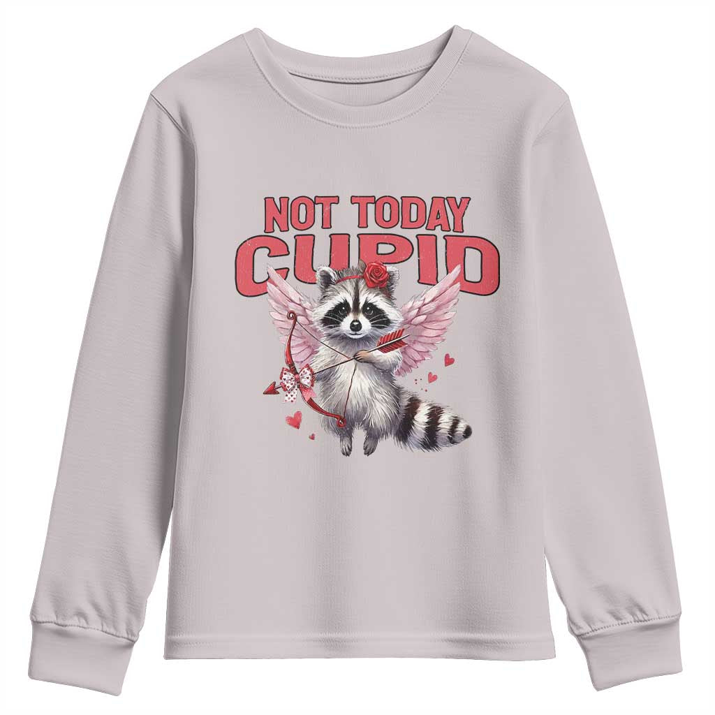 Funny Raccoon Cupid Anti Valentine Youth Sweatshirt Not Today Cupid