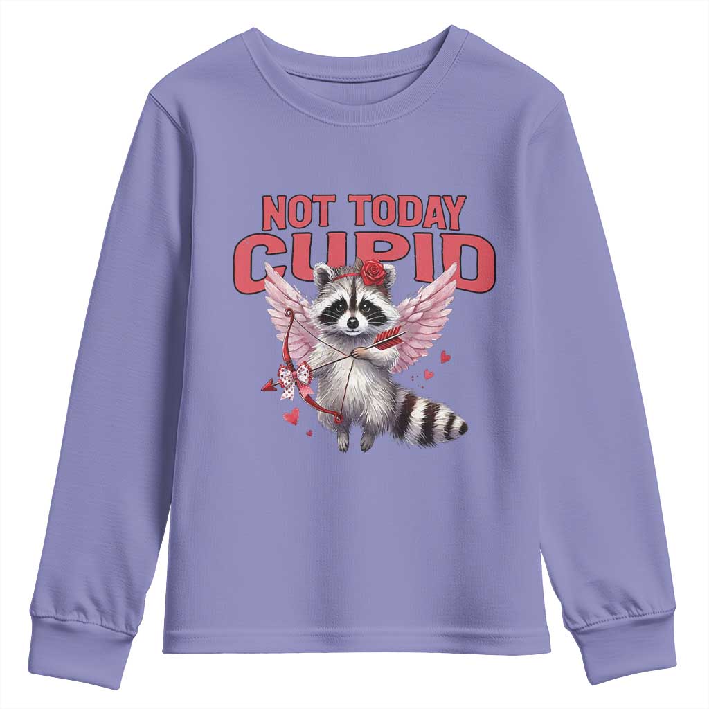 Funny Raccoon Cupid Anti Valentine Youth Sweatshirt Not Today Cupid