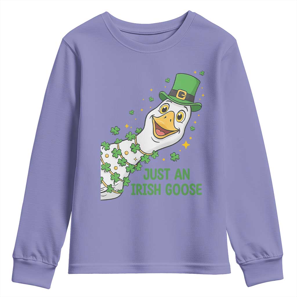 Just An Irish Goose Youth Sweatshirt Funny St Patricks Day