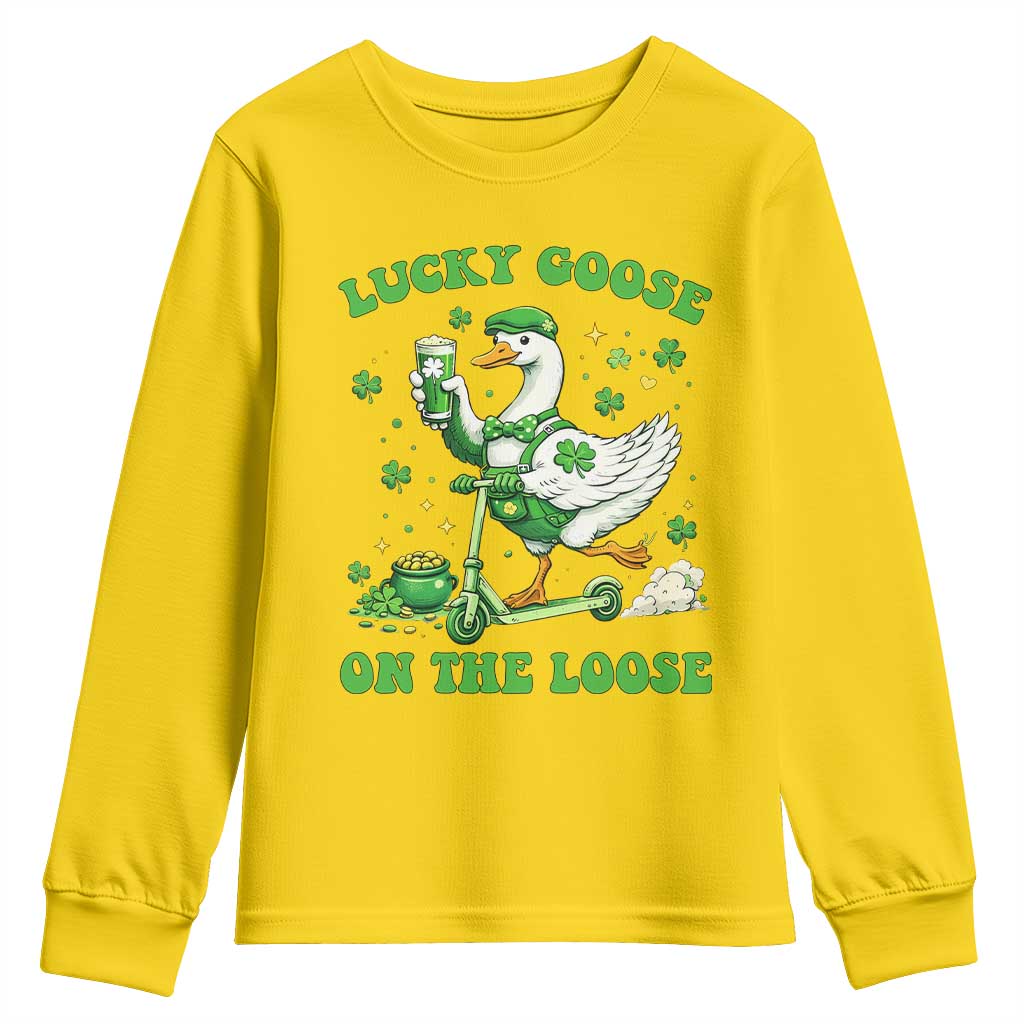 Funny Irish Goose Lover Youth Sweatshirt Lucky Goose On The Loose