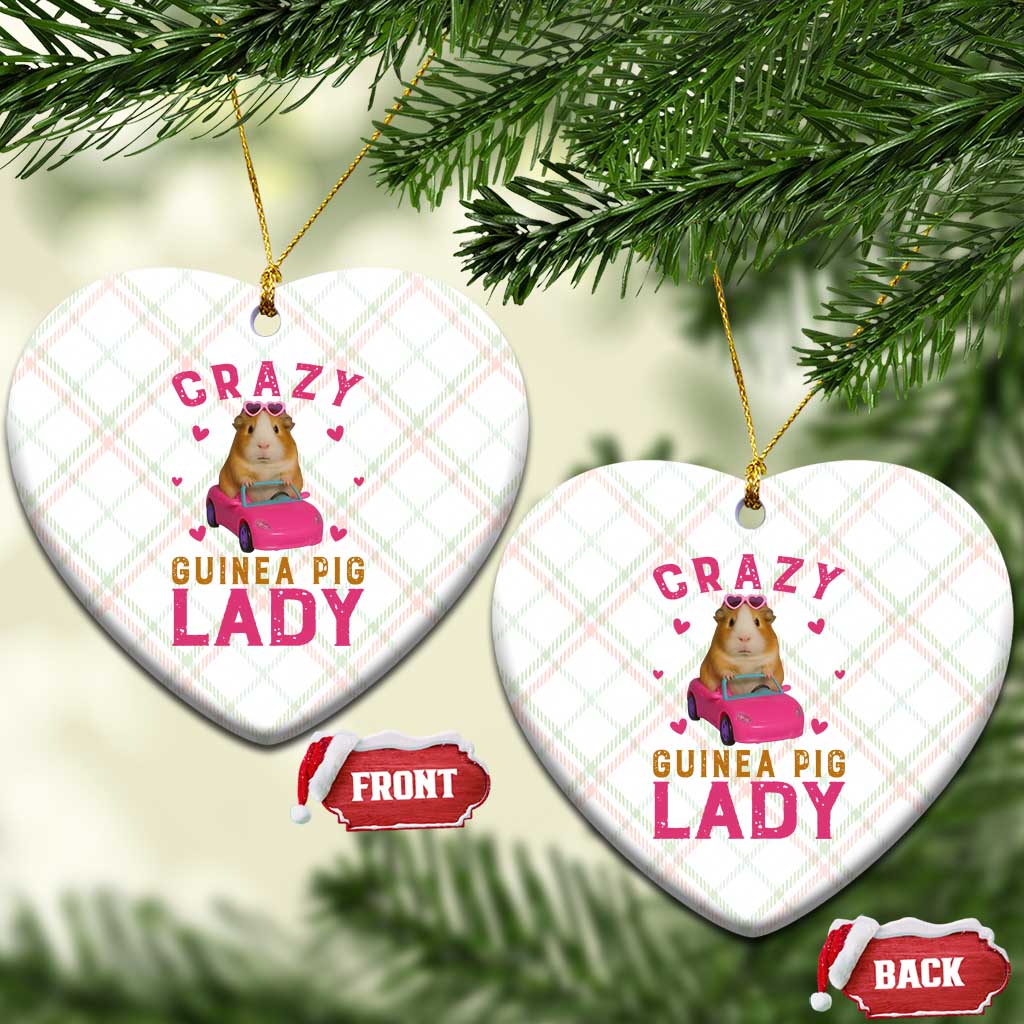 Crazy Guinea Pig Lady Ceramic Ornament Funny Pet Lover Gift - Wonder Print Shop