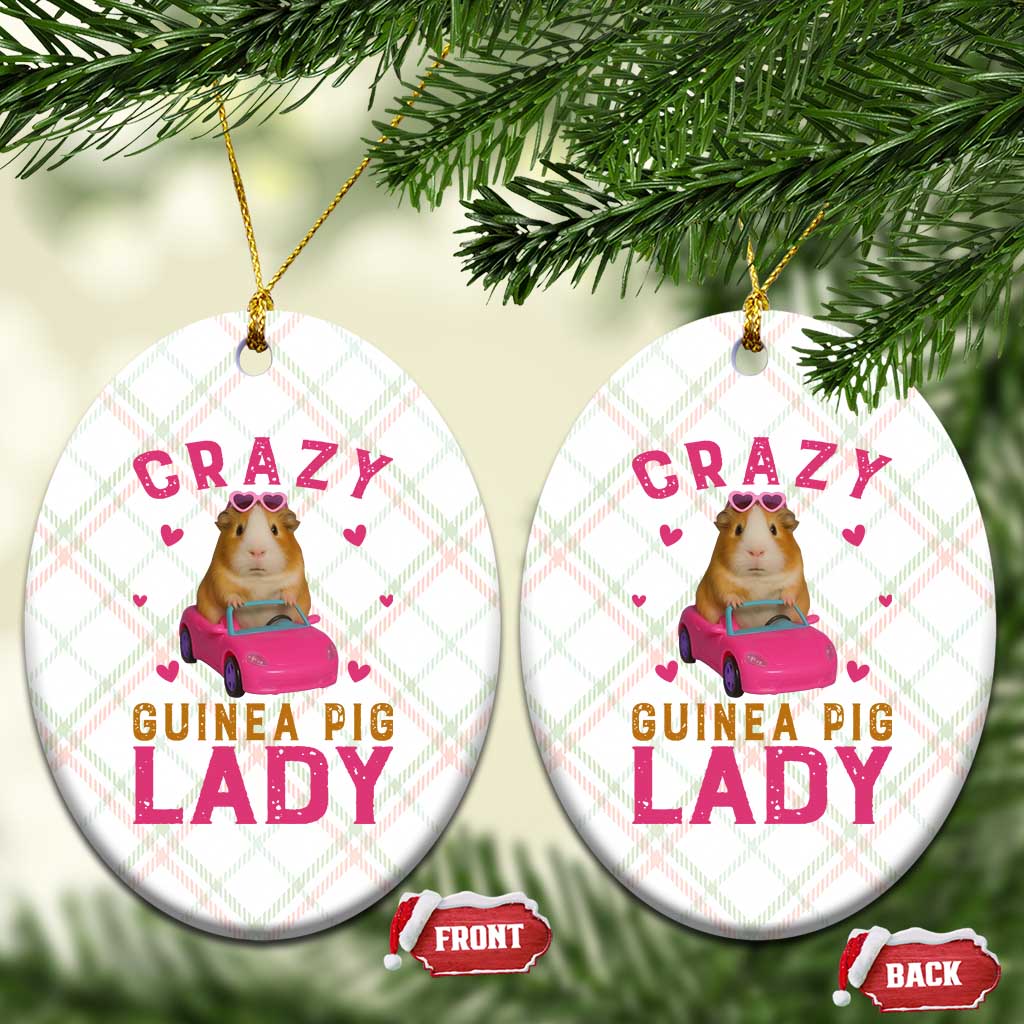 Crazy Guinea Pig Lady Ceramic Ornament Funny Pet Lover Gift - Wonder Print Shop