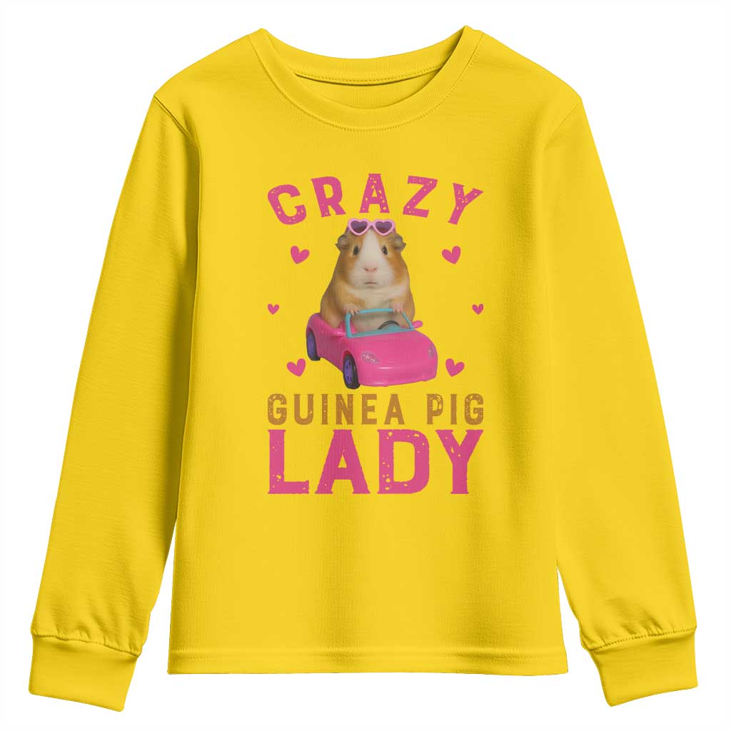 Crazy Guinea Pig Lady Youth Sweatshirt Funny Pet Lover Gift - Wonder Print Shop