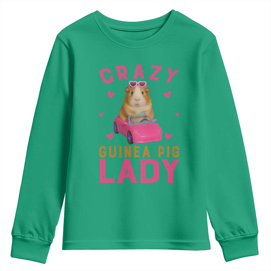 Crazy Guinea Pig Lady Youth Sweatshirt Funny Pet Lover Gift - Wonder Print Shop