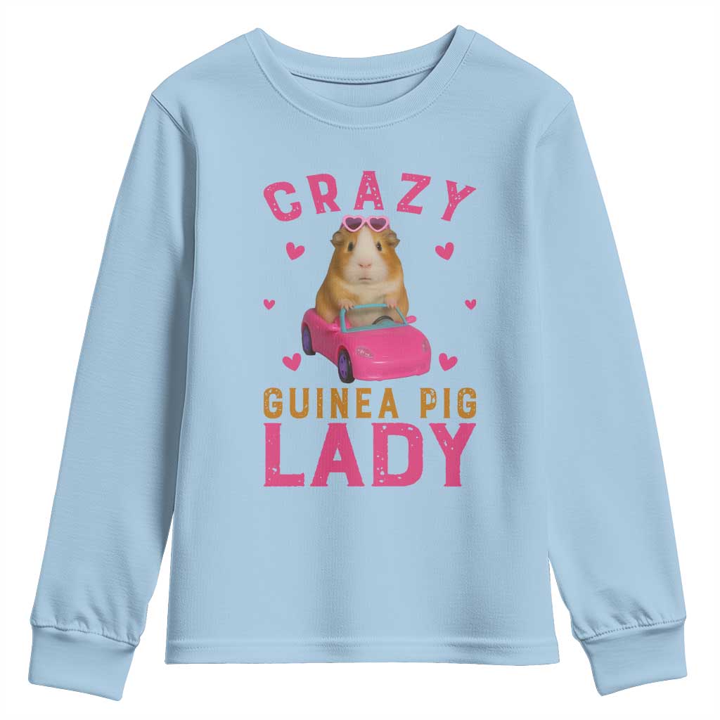 Crazy Guinea Pig Lady Youth Sweatshirt Funny Pet Lover Gift - Wonder Print Shop