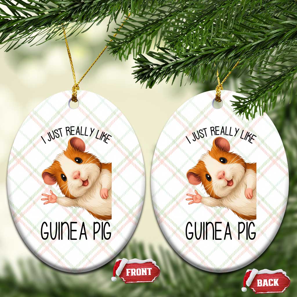 I Just Really Like Guinea Pigs Ceramic Ornament Funny Cavy Lover - Wonder Print Shop