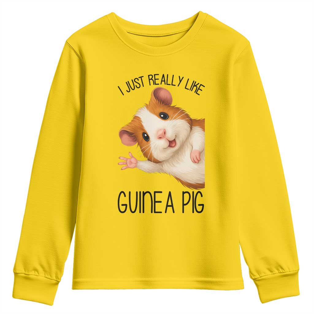I Just Really Like Guinea Pigs Youth Sweatshirt Funny Cavy Lover - Wonder Print Shop