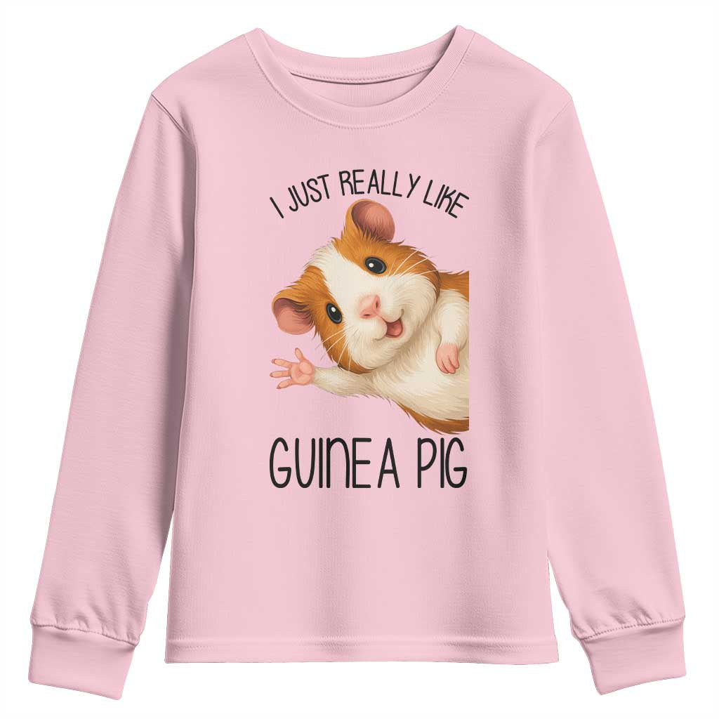 I Just Really Like Guinea Pigs Youth Sweatshirt Funny Cavy Lover - Wonder Print Shop