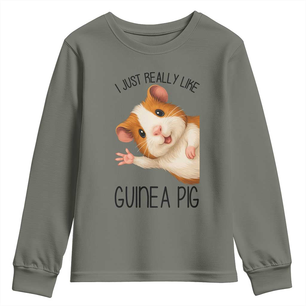 I Just Really Like Guinea Pigs Youth Sweatshirt Funny Cavy Lover - Wonder Print Shop